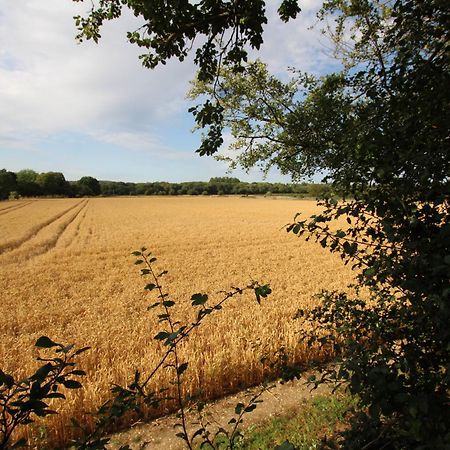 Cowslip Barn Annexe, Countryside Stay Near Chichester Zewnętrze zdjęcie